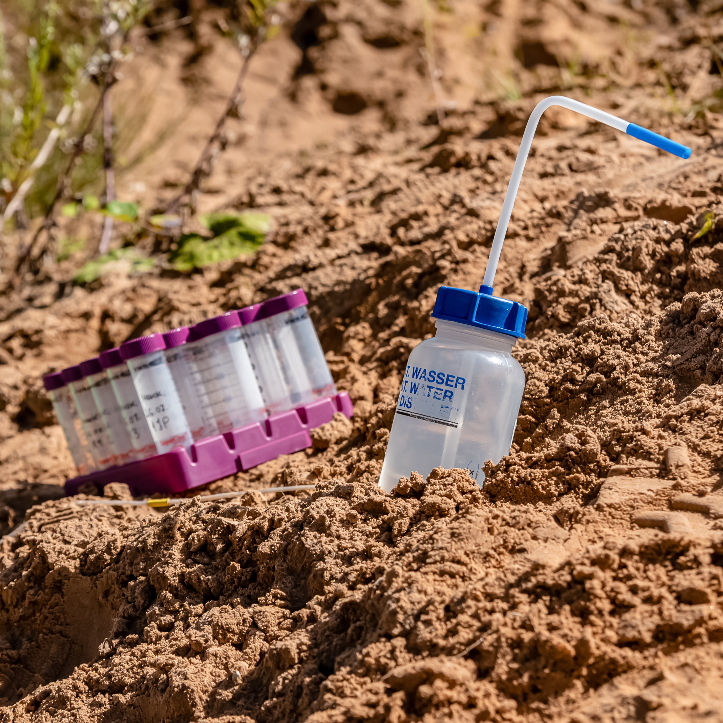 probes in sand